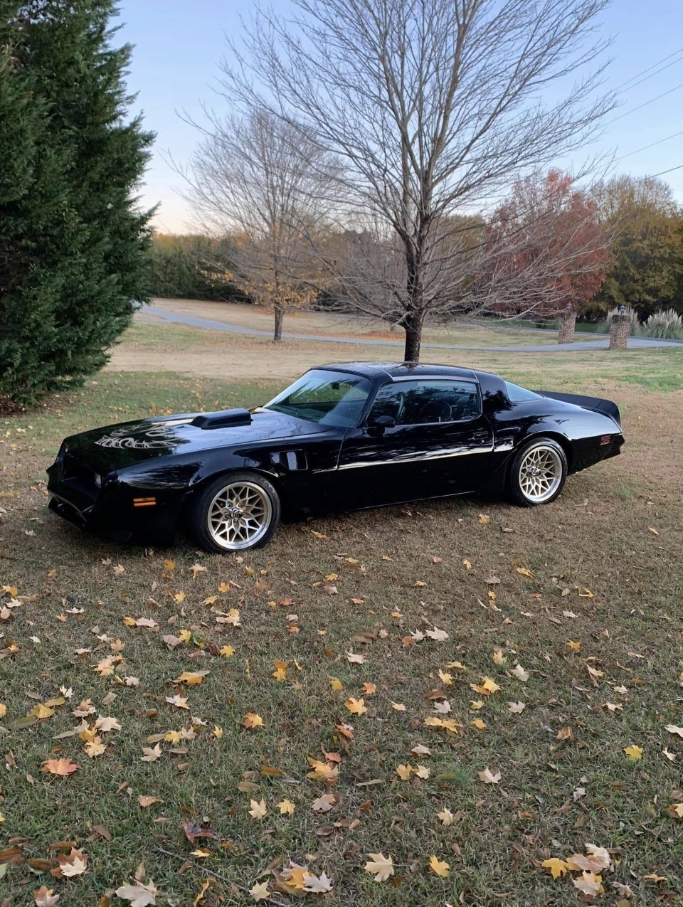 Black Trans Am parked on a lawn in autumn